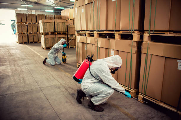 Reliable Keyser, WV Pest Control Solutions